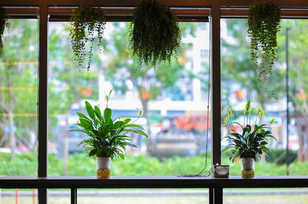 Futur Proche : Plongée dans l'Univers Visionnaire de la Science-Fiction